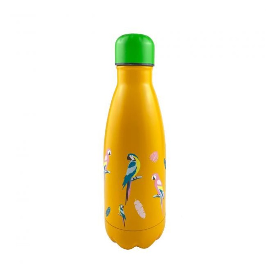 Zero Dechet Ardtime Bouteilles Isothermes | Bouteille Isotherme Enfant Design Perroquets, Happy Bottle