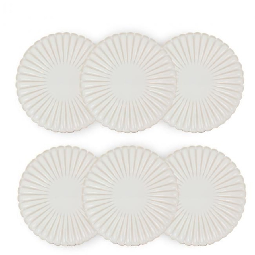 Assiettes Ardtime Grandes Assiettes | Lot De 6 Grandes Assiettes , Coquillage